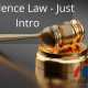 Evidence law Just Intro