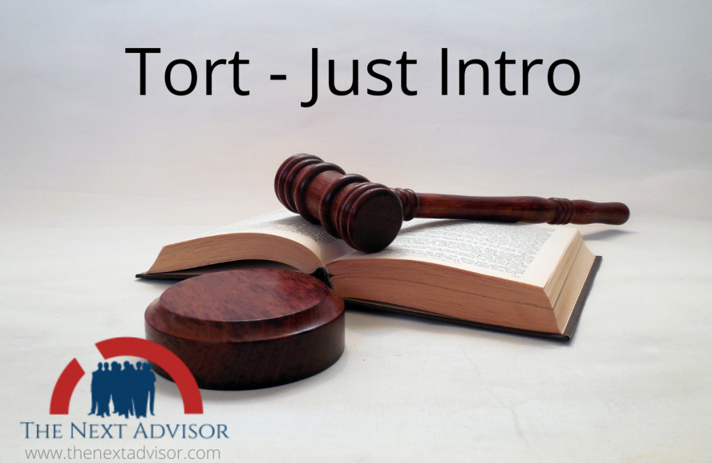 Tort - Just Intro