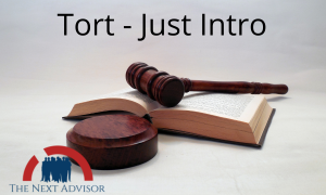 Tort - Just Intro