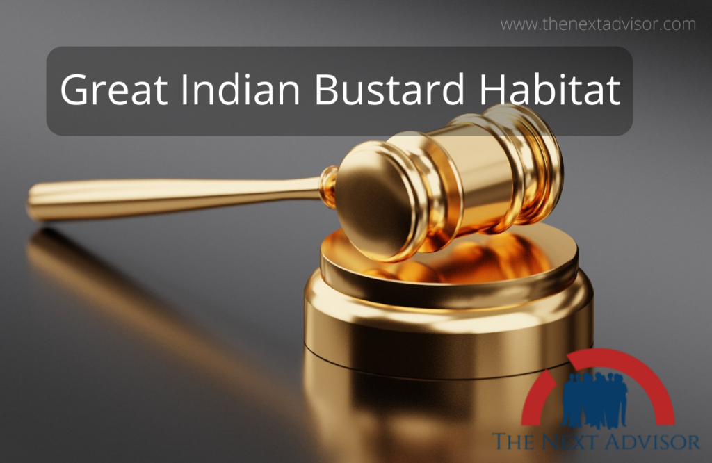 Great Indian Bustard Habitat