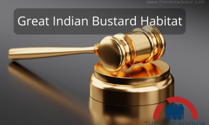 Great Indian Bustard Habitat