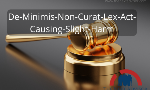de-minimis-non-curat-lex-act-causing-slight-harm