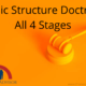 Basic Structure Doctrine All 4 Stages
