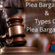 Plea Bargaining & Types Of Plea With Case Laws