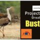 Project Great Indian Bustar